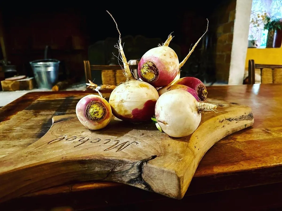 Logis Hotel Restaurant Le Grand Puech Mimet
